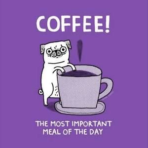 Meet your Posher, Melody